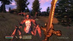 Test Oblivion Elder scrolls IV Oblivion image (9)