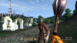 Test Oblivion Elder scrolls IV Oblivion image (12)