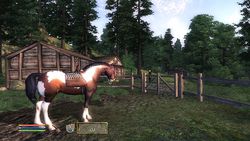 Test Oblivion Elder scrolls IV Oblivion image (23)