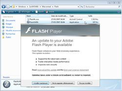 Flash 2