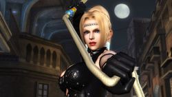 Test Ninja Gaiden Sigma PS3 image (4)