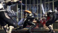 Test Ninja Gaiden Sigma PS3 image (17)