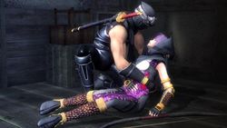 Test Ninja Gaiden Sigma PS3 image (19)