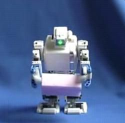 i-Sobot 1