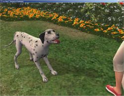 Les Sims Histoires d\'Animaux