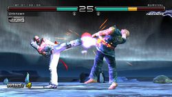 Tekken 5 : Dark Resurrection Online 3