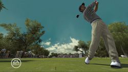 Tiger Woods PGA Tour 08 - Image 3