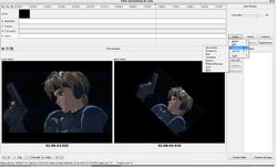AVS Video Encoder effets