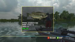 Rapala Tournament Fishing Wii.jpg (10)