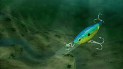 Rapala Tournament Fishing Wii.jpg (11)