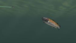 Rapala Tournament Fishing Wii.jpg (8)