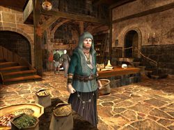The Guild 2 Pirates of the European Seas (6)