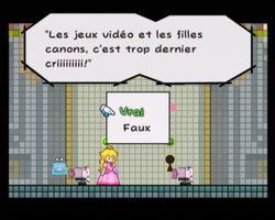 Super Paper Mario (10)