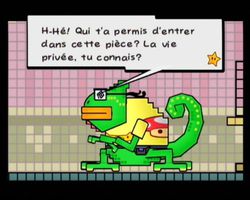 Super Paper Mario (11)