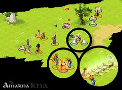 Dofus (4)