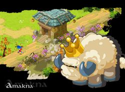 Dofus (3)