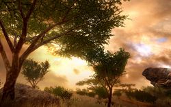Far Cry 2 - 7