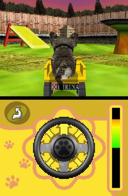 Cats Academy (2)