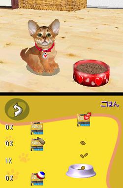 Cats Academy (3)