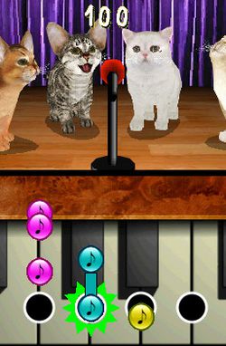 Cats Academy (4)
