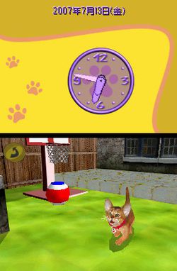 Cats Academy (5)