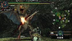 test monster hunter freedom 2 psp image (7)