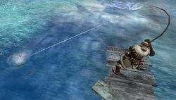 test monster hunter freedom 2 psp image (11)