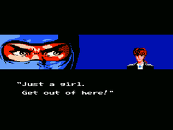 Ninja Gaiden - 1