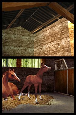 Horse Life - Image 2