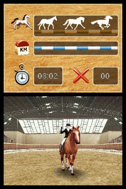 Horse Life - Image 3
