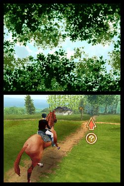 Horse Life - Image 4