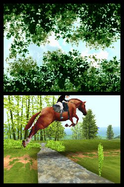 Horse Life - Image 5