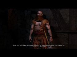 test the witcher pc image (56)