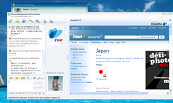 Bot Encarta WLM 4