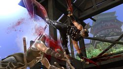 Ninja Gaiden 2 - Image 15