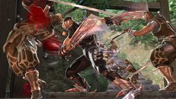 Ninja Gaiden 2 - Image 16