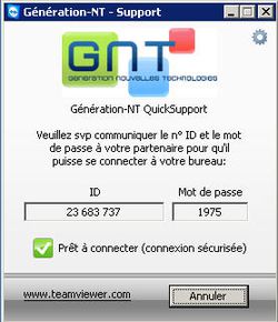 TeamViewer - Personnalisation
