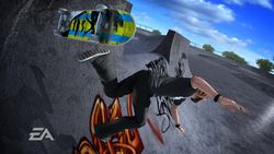 Skate - 11