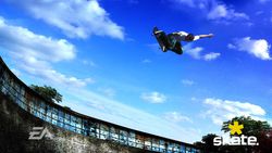 Skate - 13