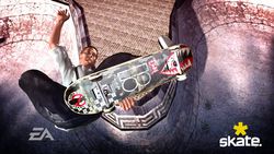 Skate - 14