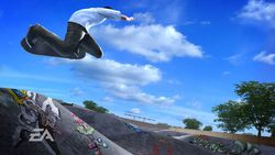 Skate - 20