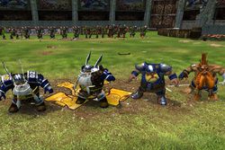 Blood Bowl (5)