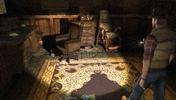 test silent hill origins psp image (16)