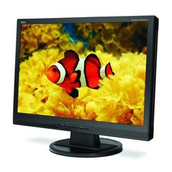 NEC AccuSync LCD24WMCX
