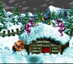 Donkey Kong Country 3 : Dixie Kong\\\'s Double Trouble - 1