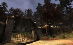 STALKER Clear Sky - Image 10