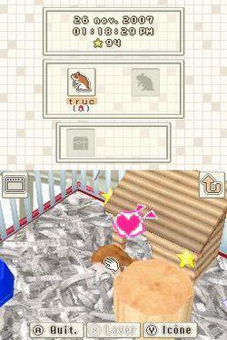 Hamsterz - 4
