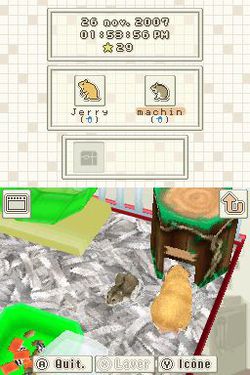 Hamsterz - 1