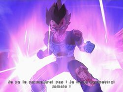 Dragon Ball Z : Budokai Tenkaichi 3 - 33