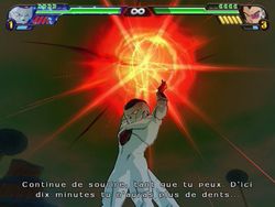 Dragon Ball Z : Budokai Tenkaichi 3 - 31